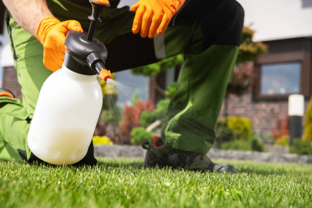 Best Best Pest Control Companies  in Port Hadlock Irondale, WA