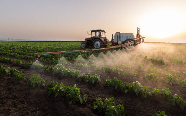 Pest Prevention Services in Port Hadlock Irondale, WA