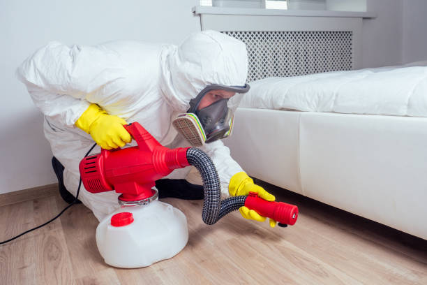 Pest Control Cost in Port Hadlock Irondale, WA