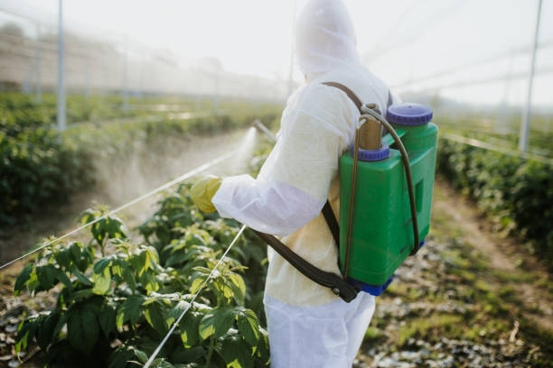 Best Rat Extermination Near Me  in Port Hadlock Irondale, WA